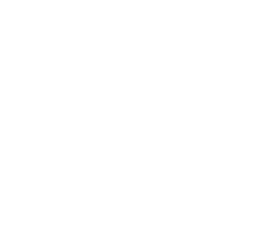 Raysロゴ