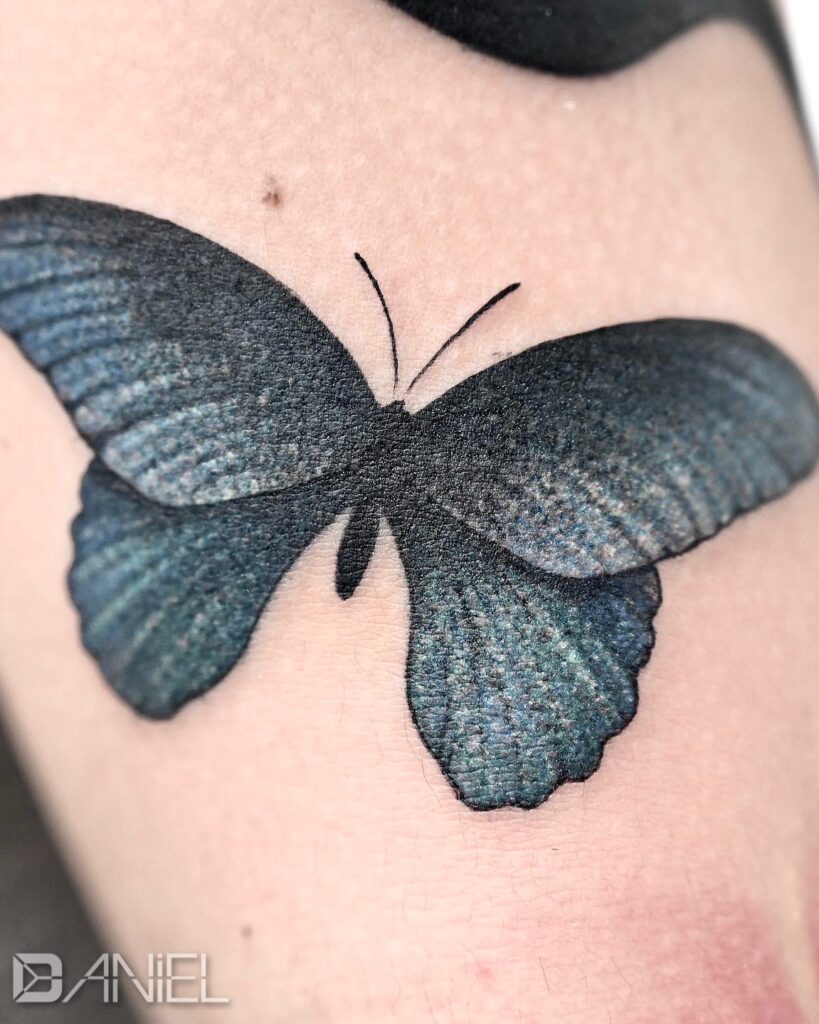 black butterfly tattoo daniel 02