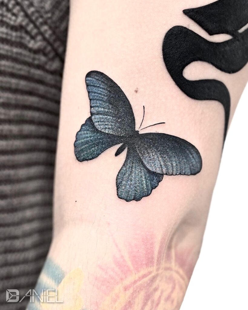 black butterfly tattoo daniel