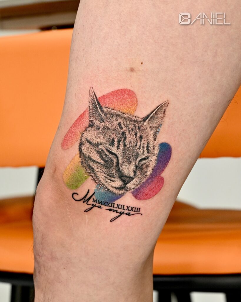 cat rainbow tattoo Daniel