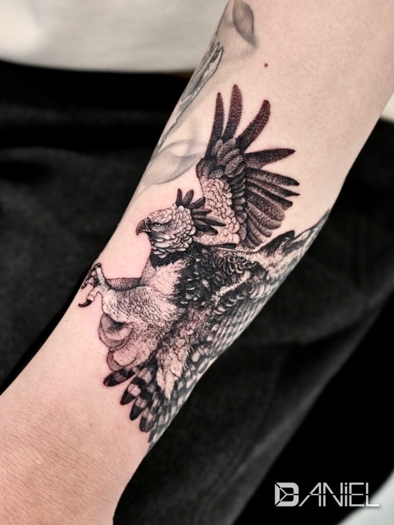 harpy eagle tattoo Daniel 02