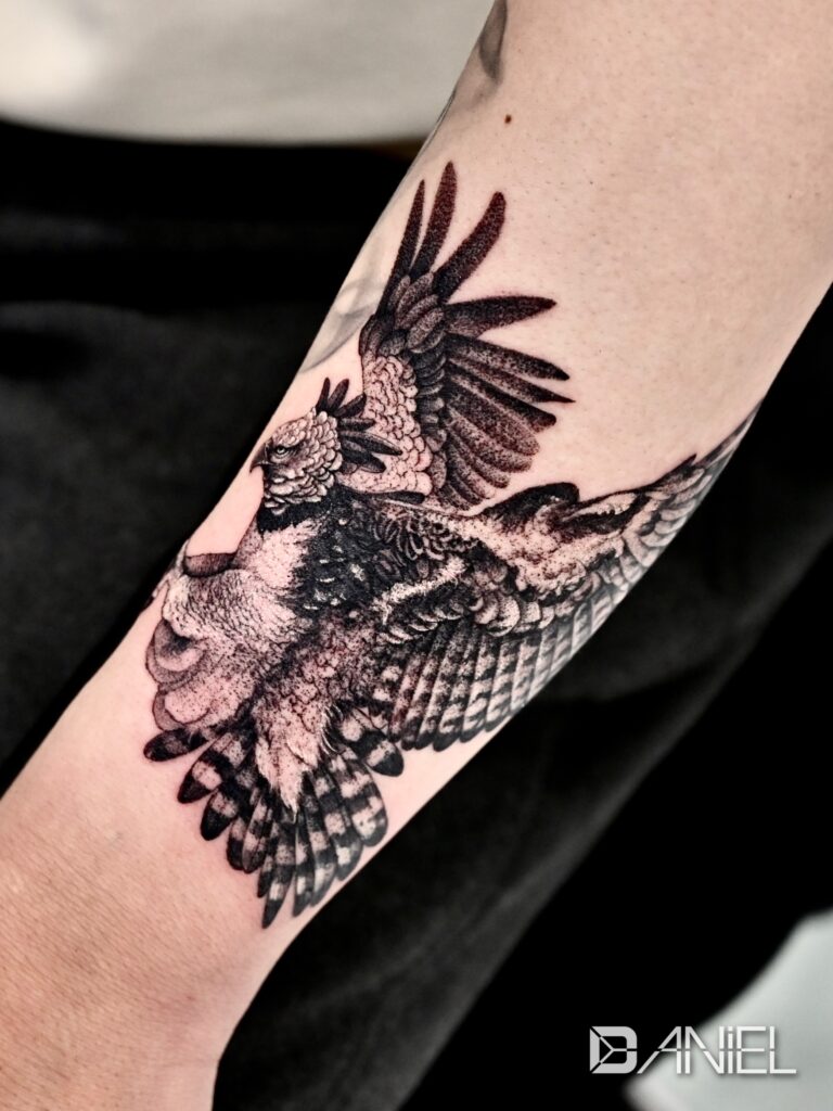 harpy eagle tattoo Daniel 03