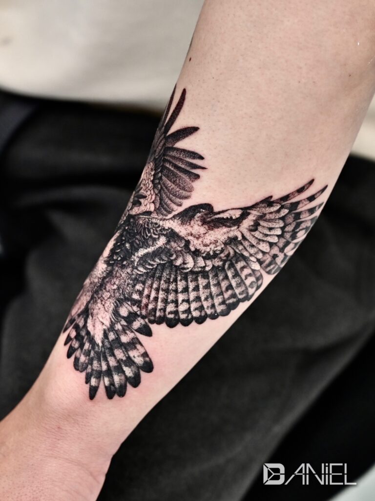 harpy eagle tattoo Daniel 04
