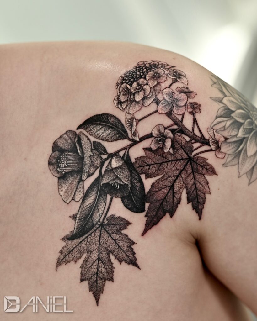 hydrangea × camellia × maple tattoo daniel