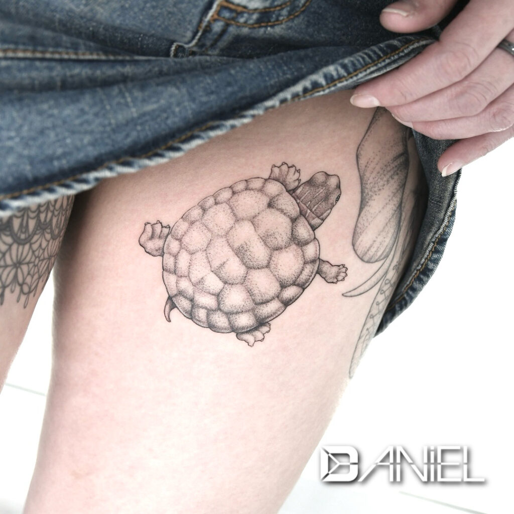 turtle tattoo Daniel 02