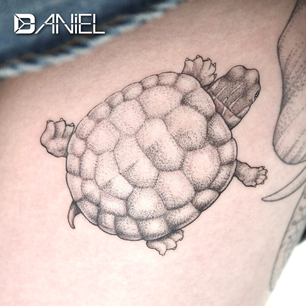 turtle tattoo Daniel 03