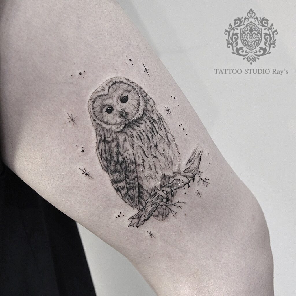 owl tattoo AYUMI