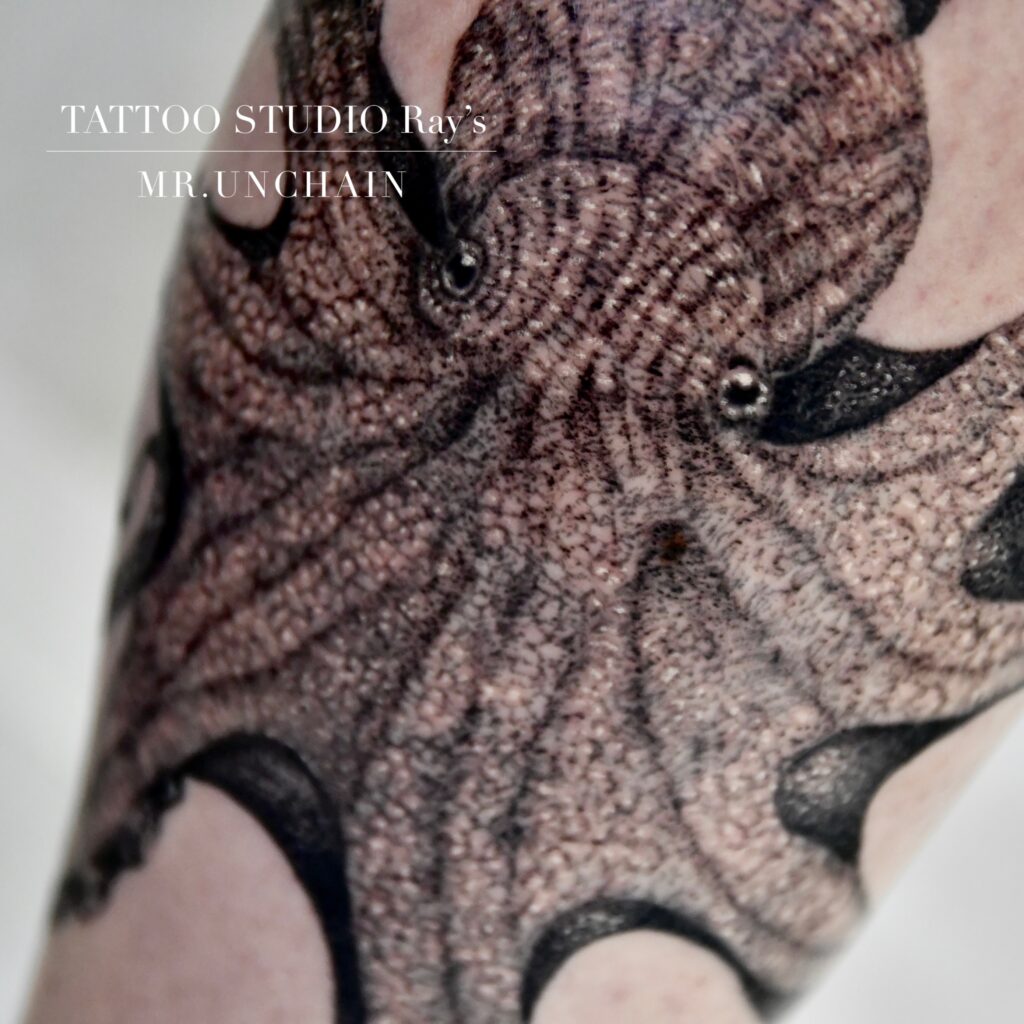 octopus tattoo UC