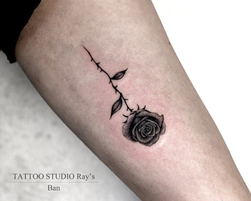rose tattoo Ban