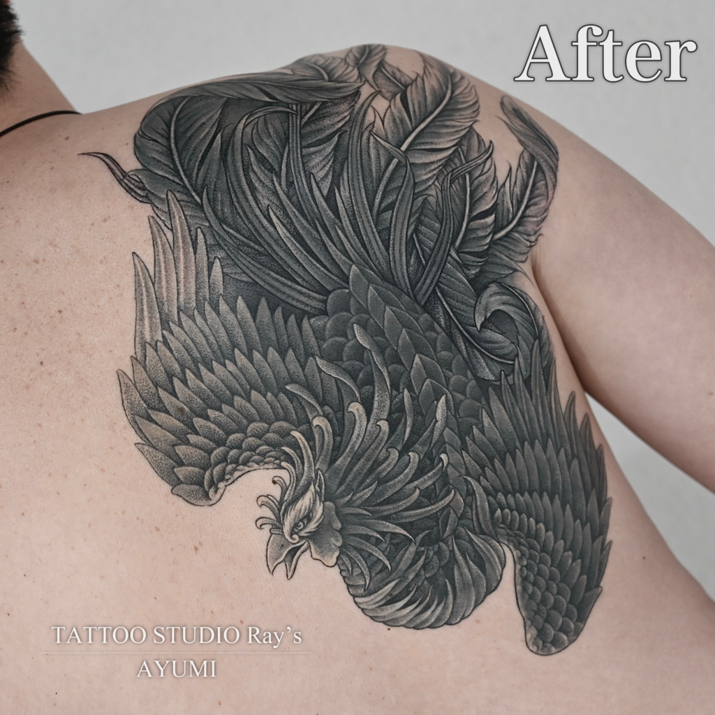 cover up phoenix tattoo ayumi after