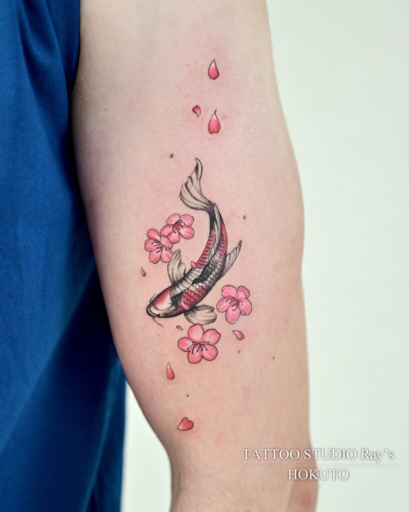 koi fish × cherry blossom tattoo hokuto