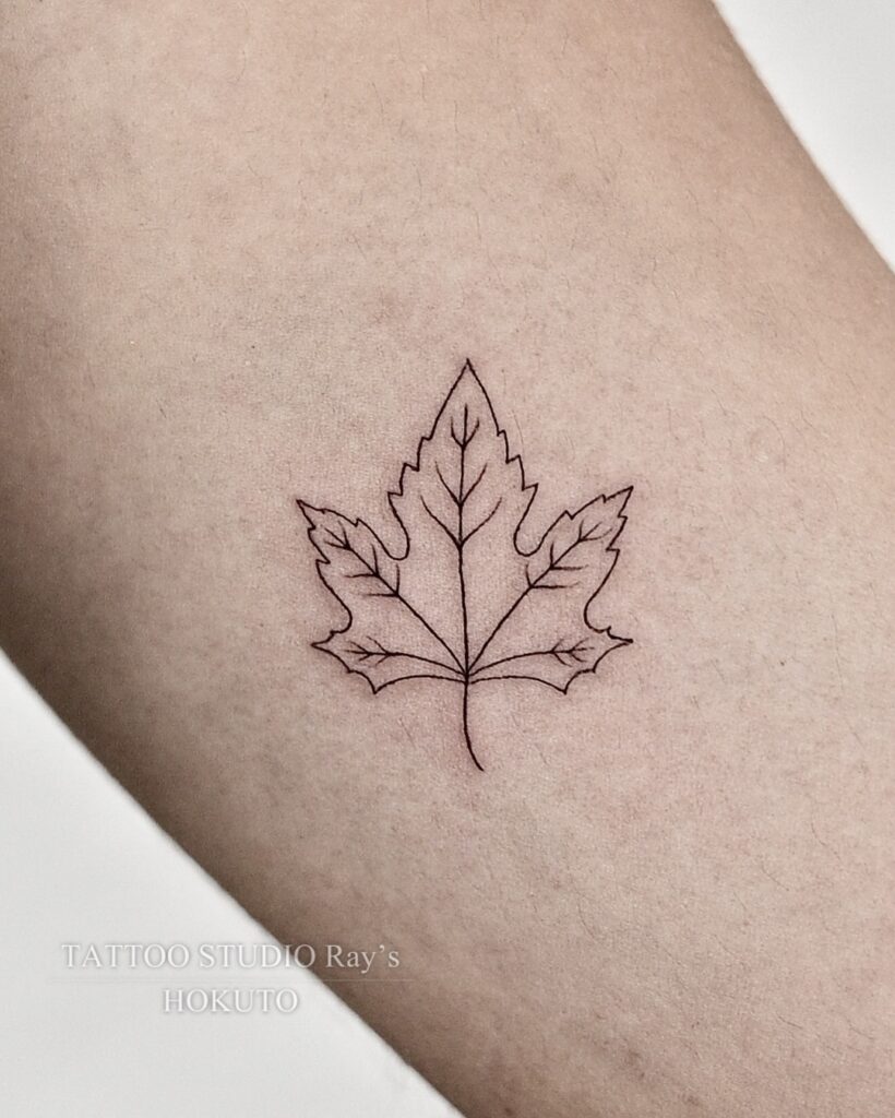 maple tattoo hokuto