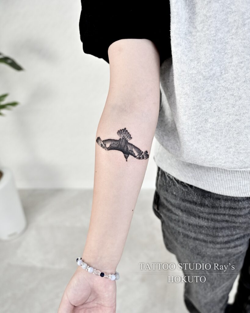 skua tattoo hokuto 02