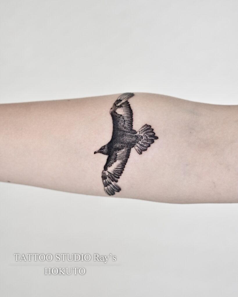 skua tattoo hokuto 03