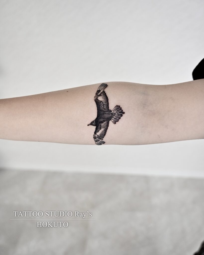 skua tattoo hokuto 04