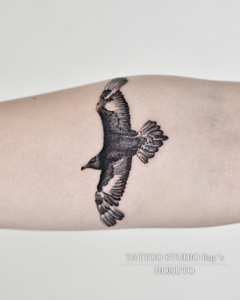 skua tattoo hokuto 05