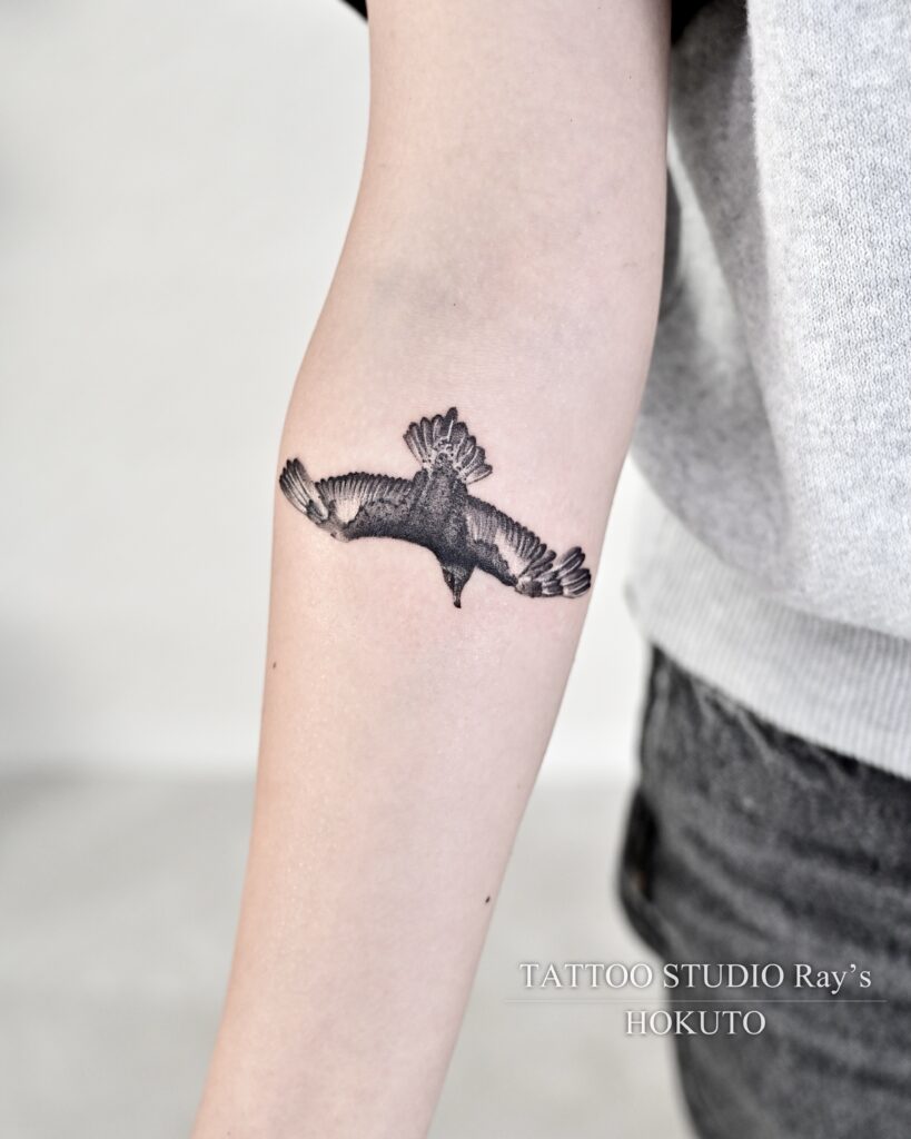 skua tattoo hokuto