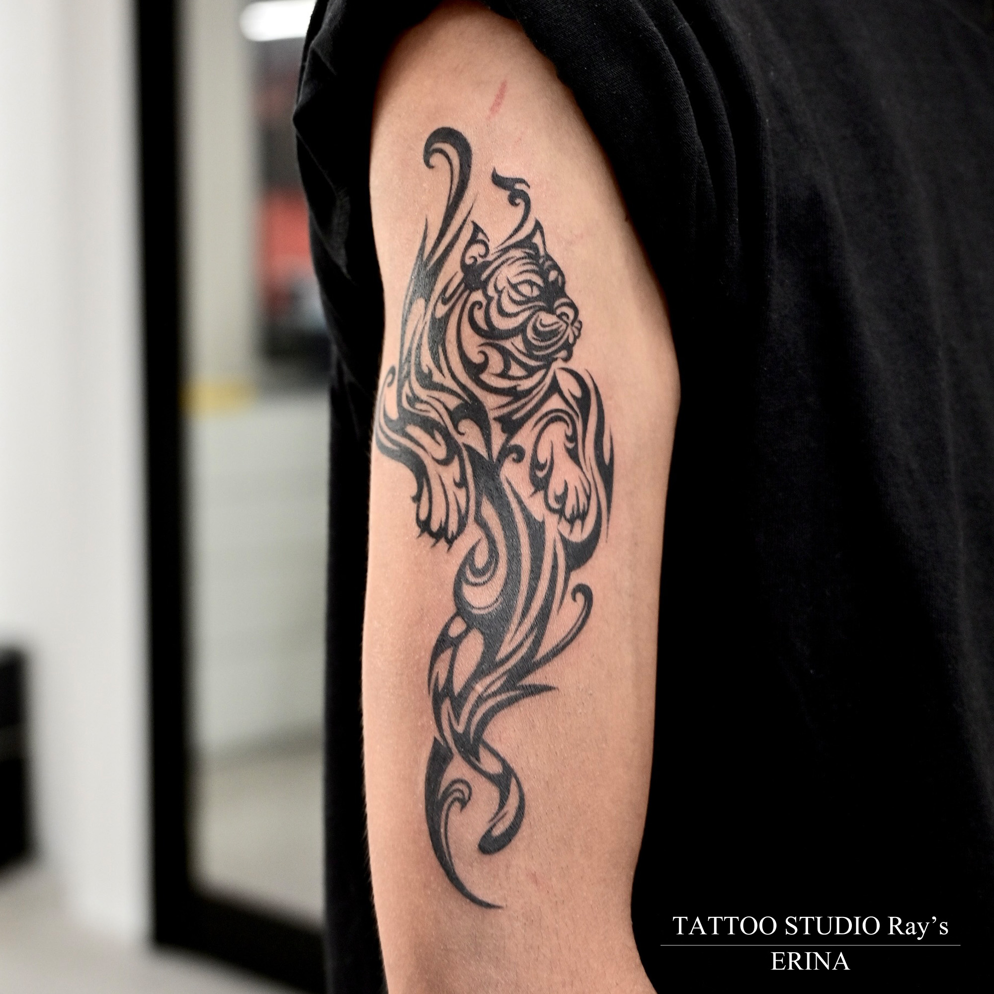 ERINA work