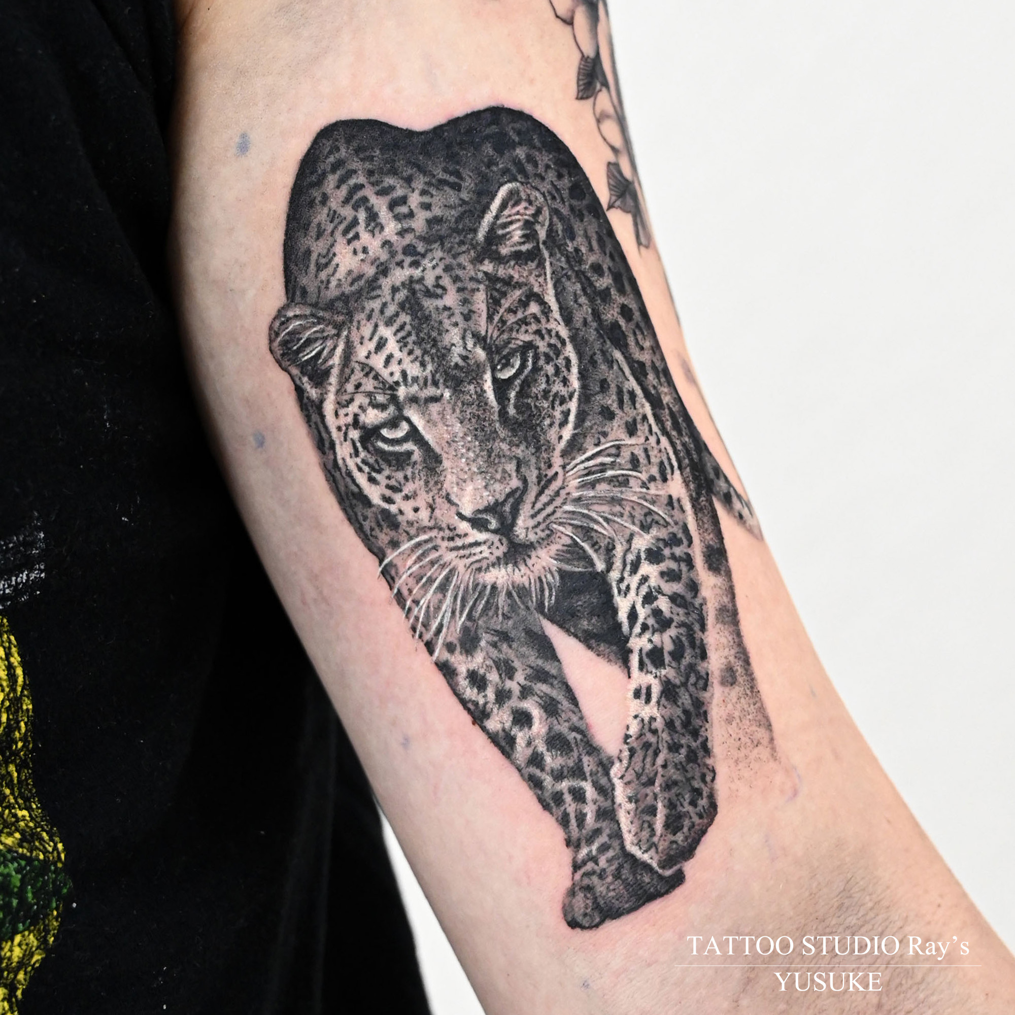 YUSUKE work